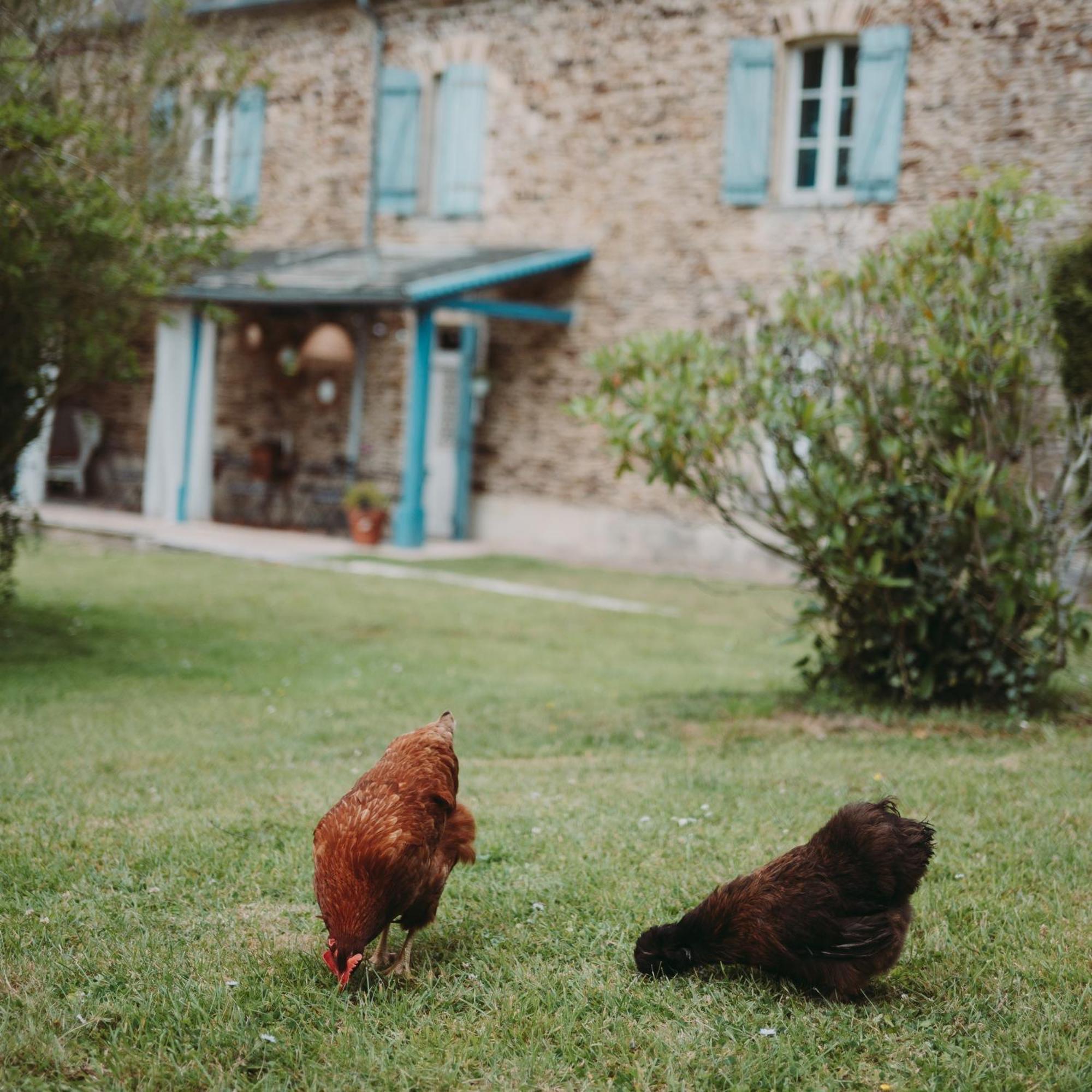 Domaine De La Fauvriere Otel Sainte-Honorine-de-Ducy Dış mekan fotoğraf